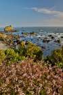 USA, California, Crescent City. Seastack along coastline Art Print